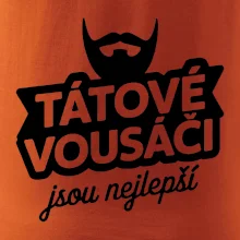 Tátové vousáči jsou nejlepší