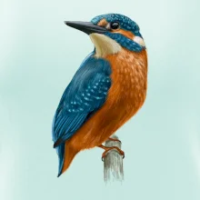 Lednáček kreslený