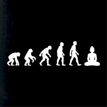 Evoluce budha