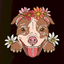 Americký stafordširský teriér hlava s květinami