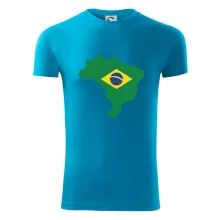 Brazílie vlajka v mapě