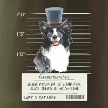 Lump a darebák border kolie