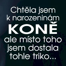 Chtěla jsem dostat k narozeninám koně