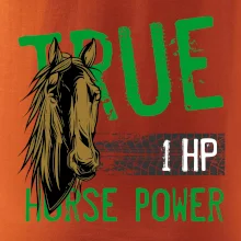 True Horse Power 1 HP