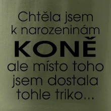 Chtěla jsem dostat k narozeninám koně