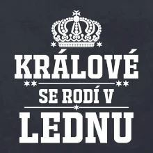 Králové se rodí v lednu