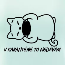 V karanténě to nedávám