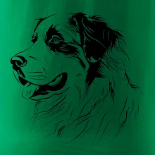 Bernský salašnický pes černá kresba