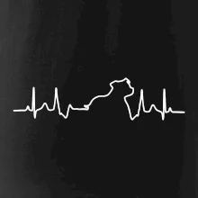 Stafordšírsky bulteriér EKG