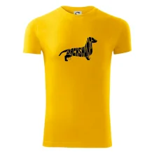 Jezevčík - Dachshund