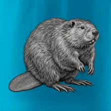 Zvířata Šumavy – Bobr evropský