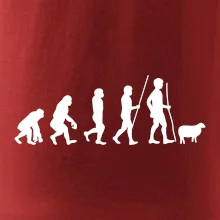 Evoluce pastevec ovcí