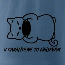 V karanténě to nedávám