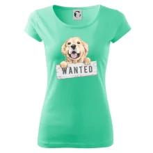 Zlatý retriever - štěně wanted