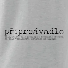 Čeština 2.0 - připrcávadlo