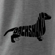 Jezevčík - Dachshund