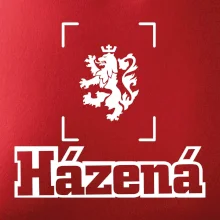 Národní házená lev