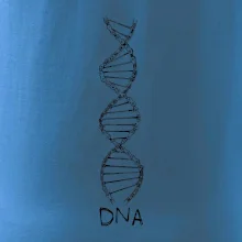 Cyklistovo DNA