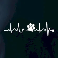 Ekg psí tlapka Ekg psí tlapka