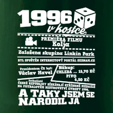 1996 v kostce