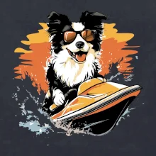 Border Kolie na vodním skútru