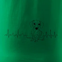 EKG křivka jezevčík