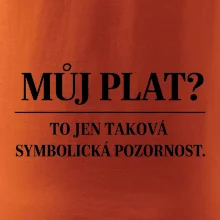 Můj plat? to jen taková symbolická pozornost