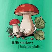 Hřib smrkový - Boletus edulis kreslený