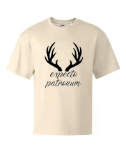 Harry - Expecto patronum