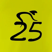 Cyklista slaví pětadvacítku (25)