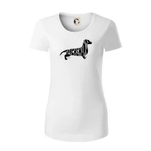 Jezevčík - Dachshund