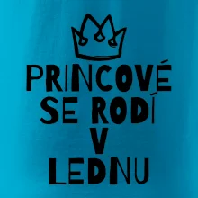Princové se rodí v lednu
