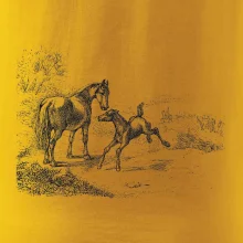 Kůň a hříbě malované