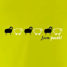 Jsem pasák - ovce v řadě