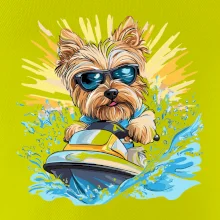 Yorkšírský teriér na vodním skútru