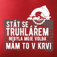 Stát se truhlářem nebyla moje volba