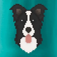 Border kolie Pixel