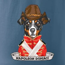 Napoleon domácí pes kříženec