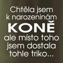 Chtěla jsem dostat k narozeninám koně