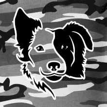 Border kólie obrys hlavy