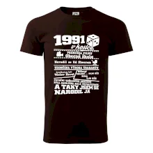 1991 v kostce