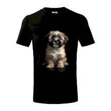 Lhasa Apso štěně  černá fotka