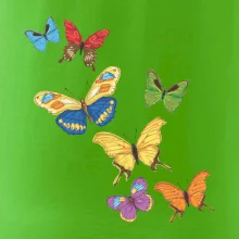 Barevní motýli