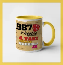 1987 v kostce