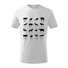 Zvířecí stopy s obrázkem zvířete - stopy zvířat