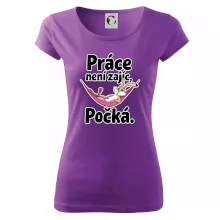 Práce není zajíc, počká.