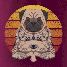 Yoga meditace - pug