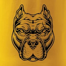 Americký stafordširský teriér hlava