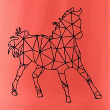 Geometrie - kůň