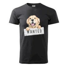 Zlatý retriever - štěně wanted